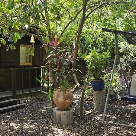 Villa נופש דביר - סוויטות מהממות ובקתה כפרית עם ג'קוזי ליד הכנרת - יש מקלט צמוד Migdal Exterior foto