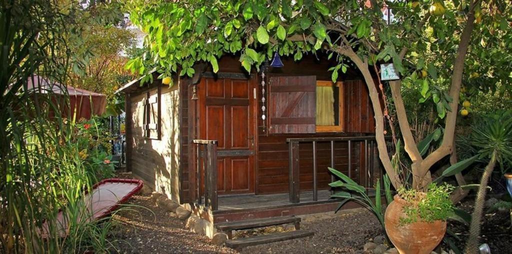 Villa נופש דביר - סוויטות מהממות ובקתה כפרית עם ג'קוזי ליד הכנרת - יש מקלט צמוד Migdal Exterior foto