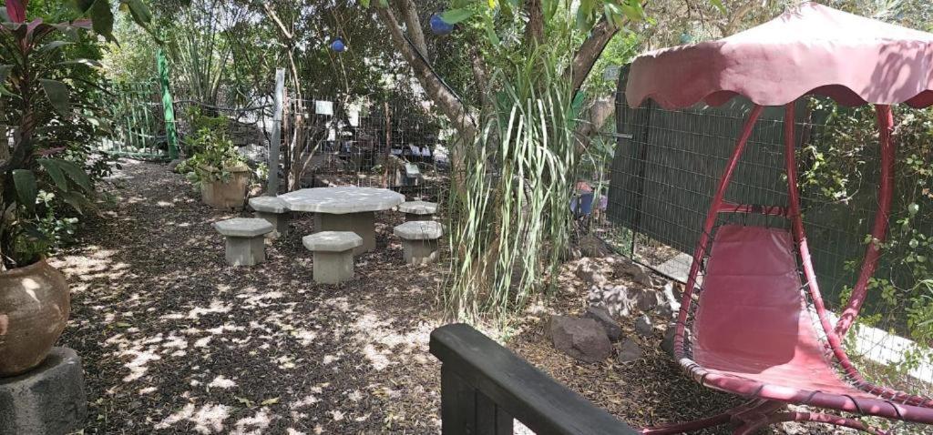 Villa נופש דביר - סוויטות מהממות ובקתה כפרית עם ג'קוזי ליד הכנרת - יש מקלט צמוד Migdal Exterior foto
