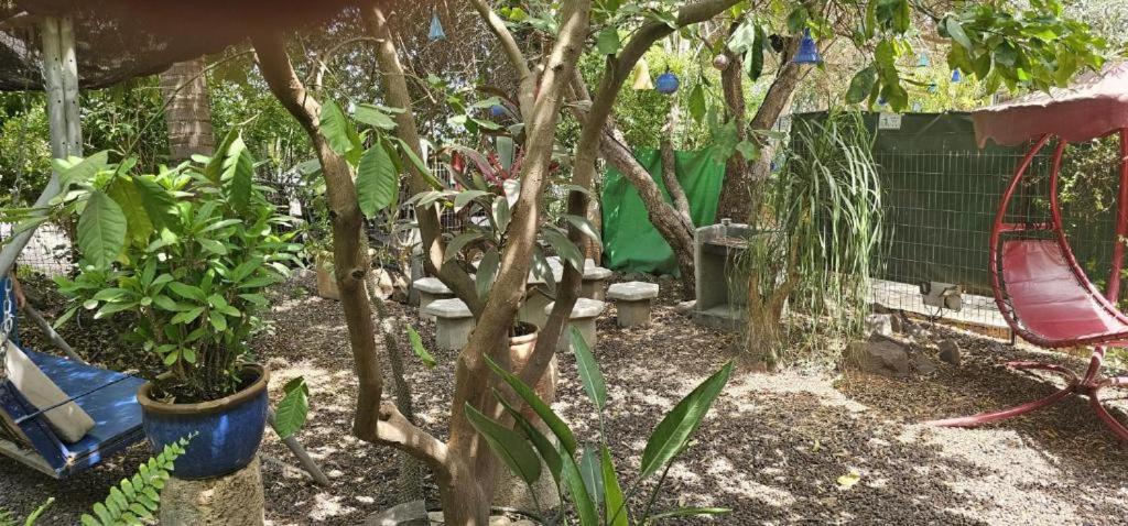 Villa נופש דביר - סוויטות מהממות ובקתה כפרית עם ג'קוזי ליד הכנרת - יש מקלט צמוד Migdal Zimmer foto
